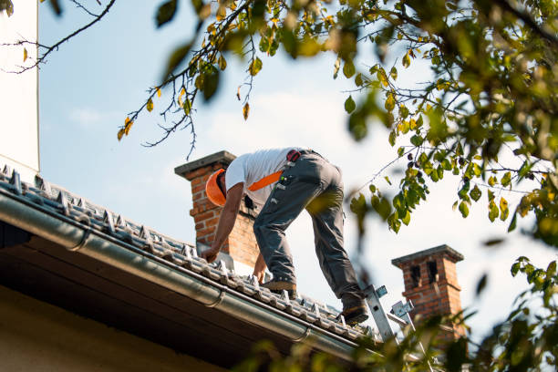 Roof Gutter Cleaning in Rankin, TX